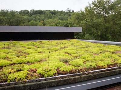 Planted,Eco,Roof